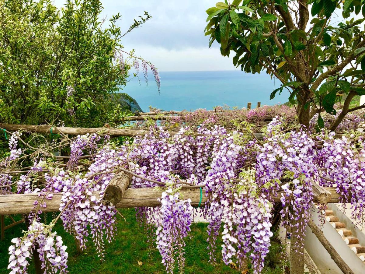 Casa Flora Bed & Breakfast Vietri sul Mare Exterior photo