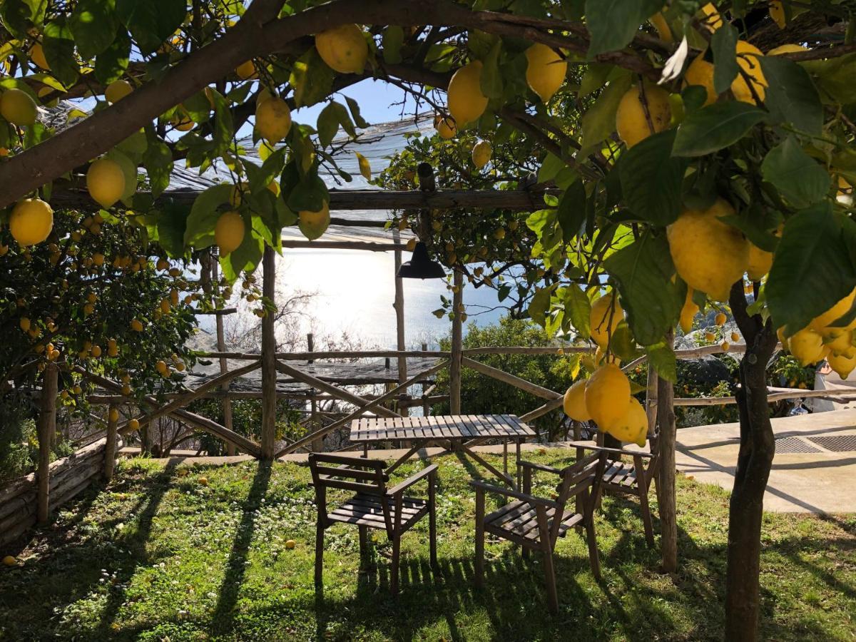 Casa Flora Bed & Breakfast Vietri sul Mare Exterior photo
