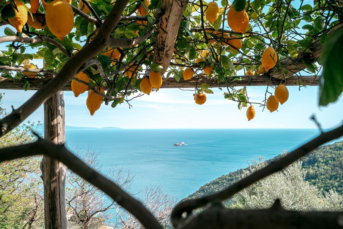 Casa Flora Bed & Breakfast Vietri sul Mare Exterior photo